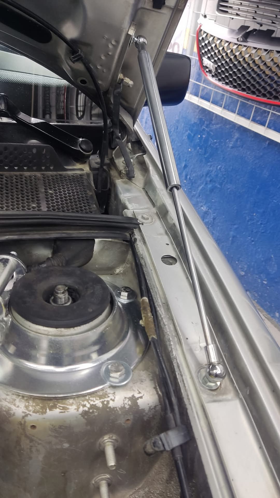 Hood Lift Amortiguadores de Cofre by JOM – Jetta Golf Mk3